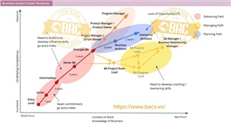 Lộ trình phát triển nghề Business Analyst (BA)